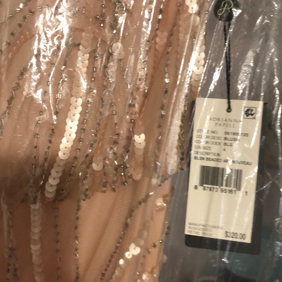 Adrianna Papell Gown - Picture 4 of 5